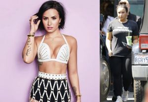 Demi Lovato arremetió contra un periodista que criticó su peso (+Fotos)