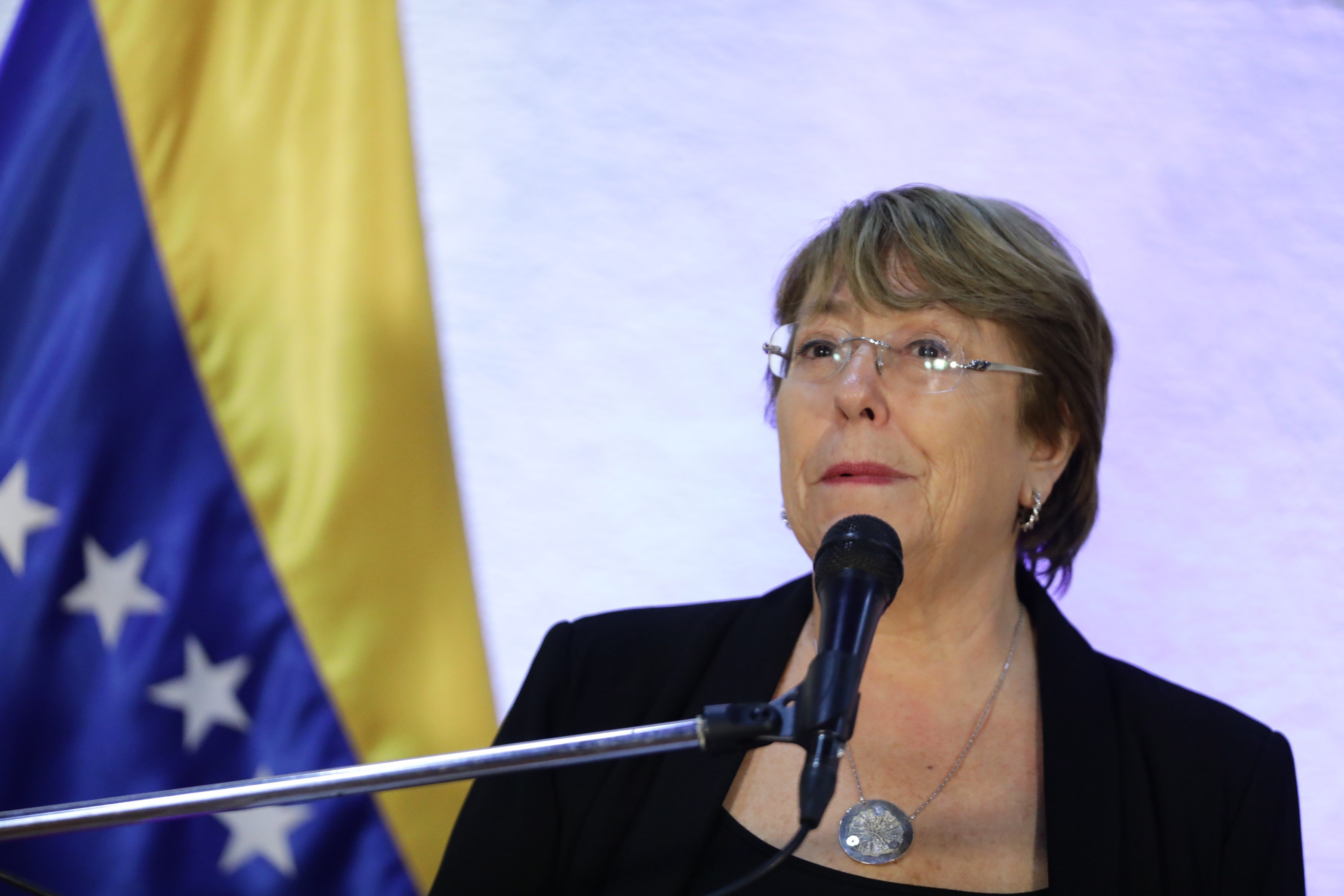 Borges y Vecchio en reunión con Bachelet: Ninguno de los casos que están en su informe deben quedar impune