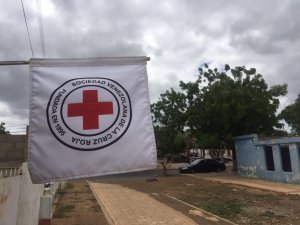La crisis por coronavirus podría desencadenar migraciones “masivas”, afirma la Cruz Roja