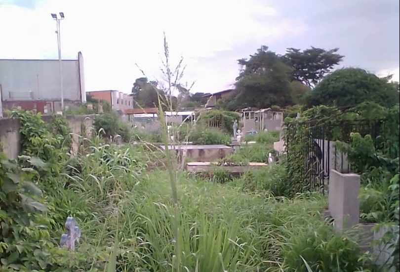 Abandono del Cementerio Municipal afecta a comunidad de Boca de Río