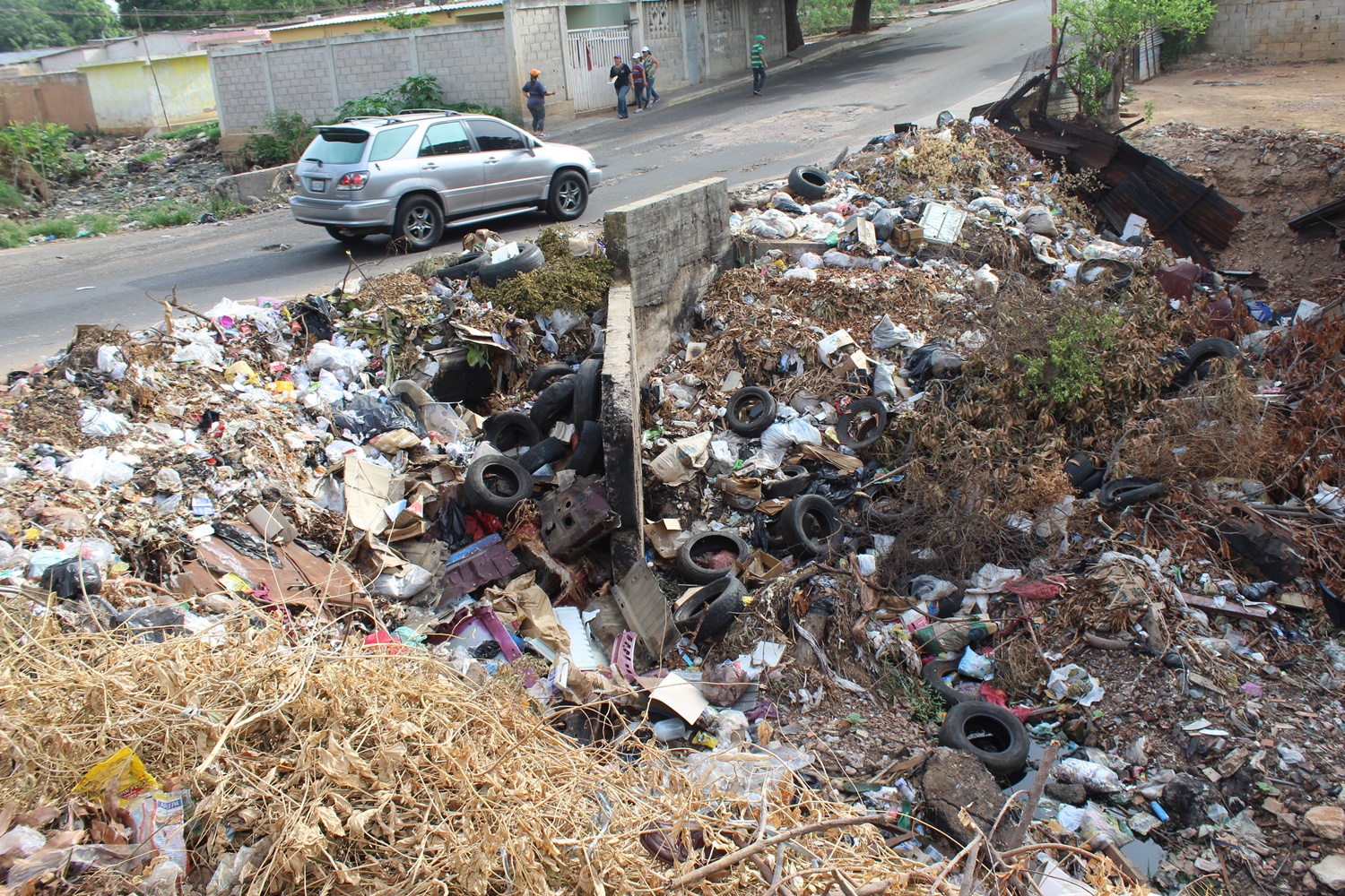 Vecinos denuncian riesgo de enfermedades por desbordamiento de cañada La Frontera (fotos)