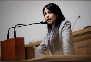 Delsa Solórzano: El régimen tiene un año con Requesens secuestrado