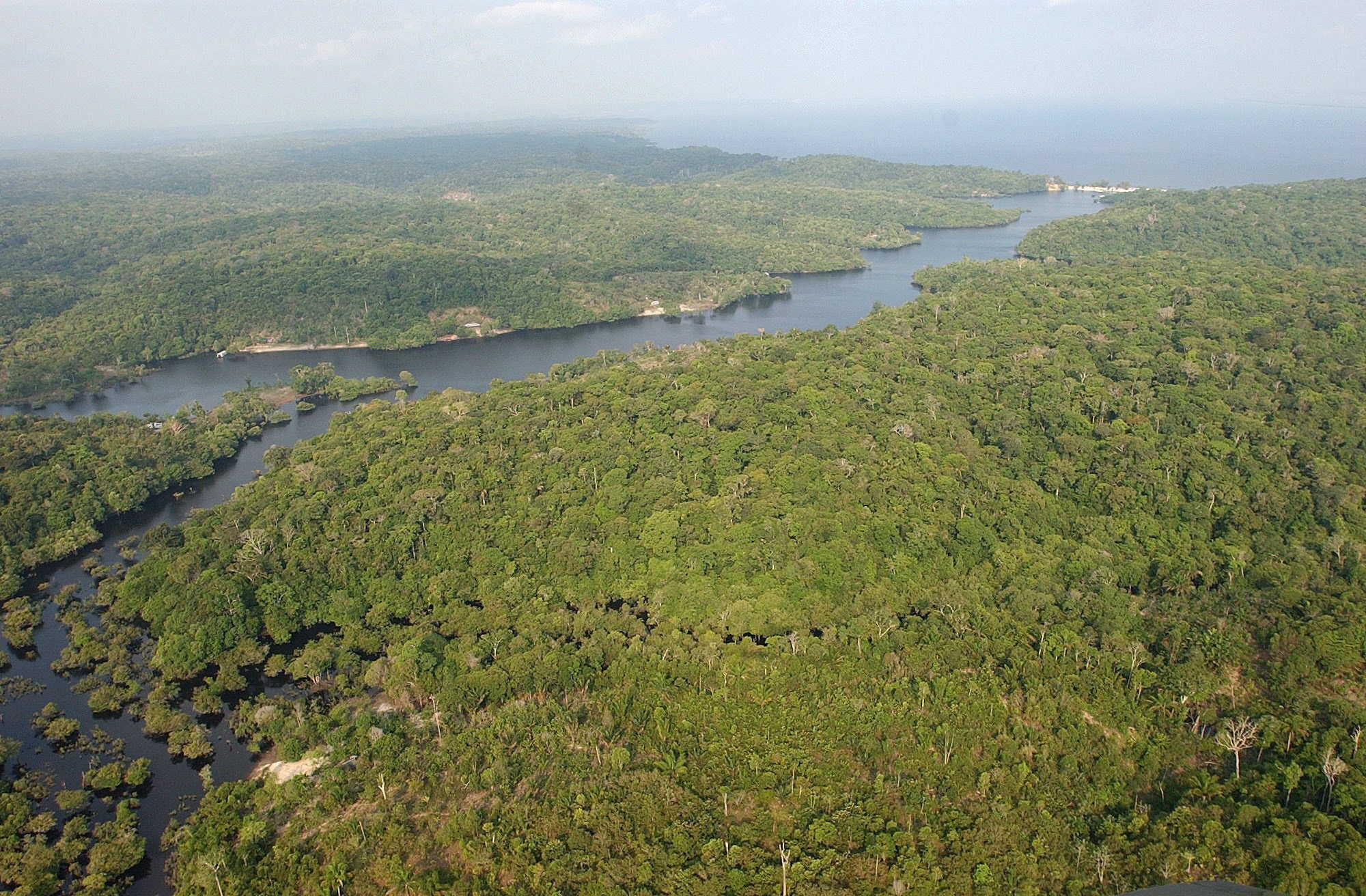 Brasil vincula aumento de la deforestación en la Amazonía con el coronavirus