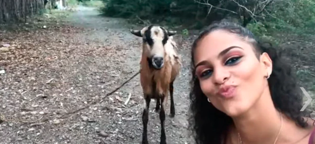 VIDEO VIRAL: ¡Al ataque! Una mujer intentaba hacerse una selfie con una cabra y esto fue lo que sucedió