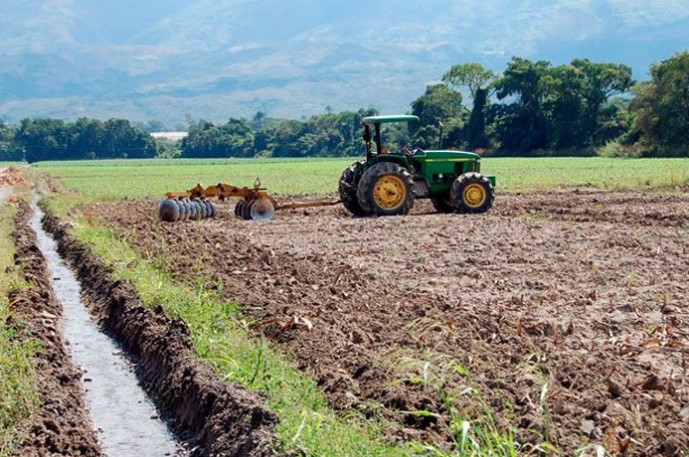 Organizaciones agrarias crearán la Asociación Venezolana de Agricultura Familiar