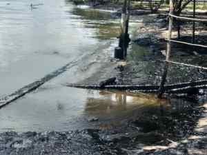 Alcalde Alenis Guerrero denuncia derrame petrolero que afecta las costas en Zulia (Fotos)