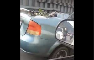 Fue a trabajar con su auto “descapotable” luego que le cayera un árbol en Caracas (VIDEO)