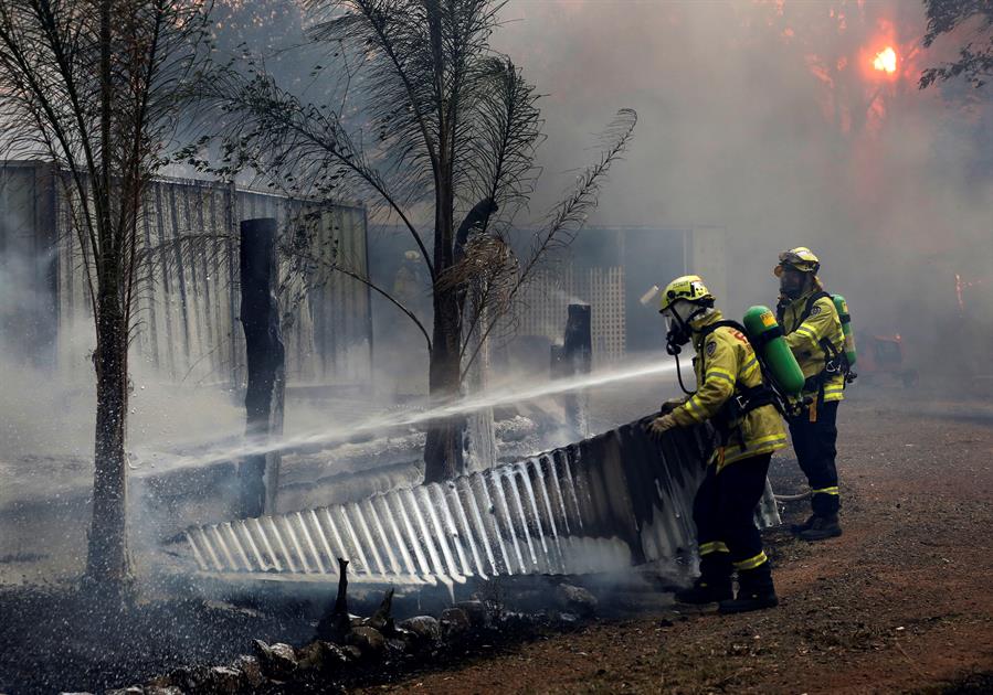 Emergencia en Australia por los incendios forestales que se acercan a Sidney (Fotos)