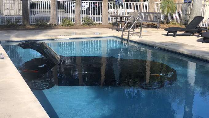 Conductor retrocede accidentalmente a la piscina del hotel West Palm Beach