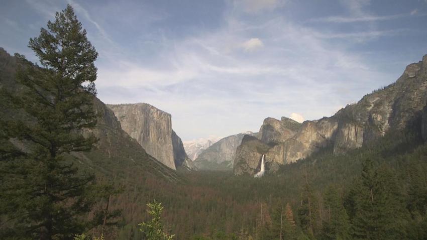 Reportan 170 personas enfermas en Yosemite Park