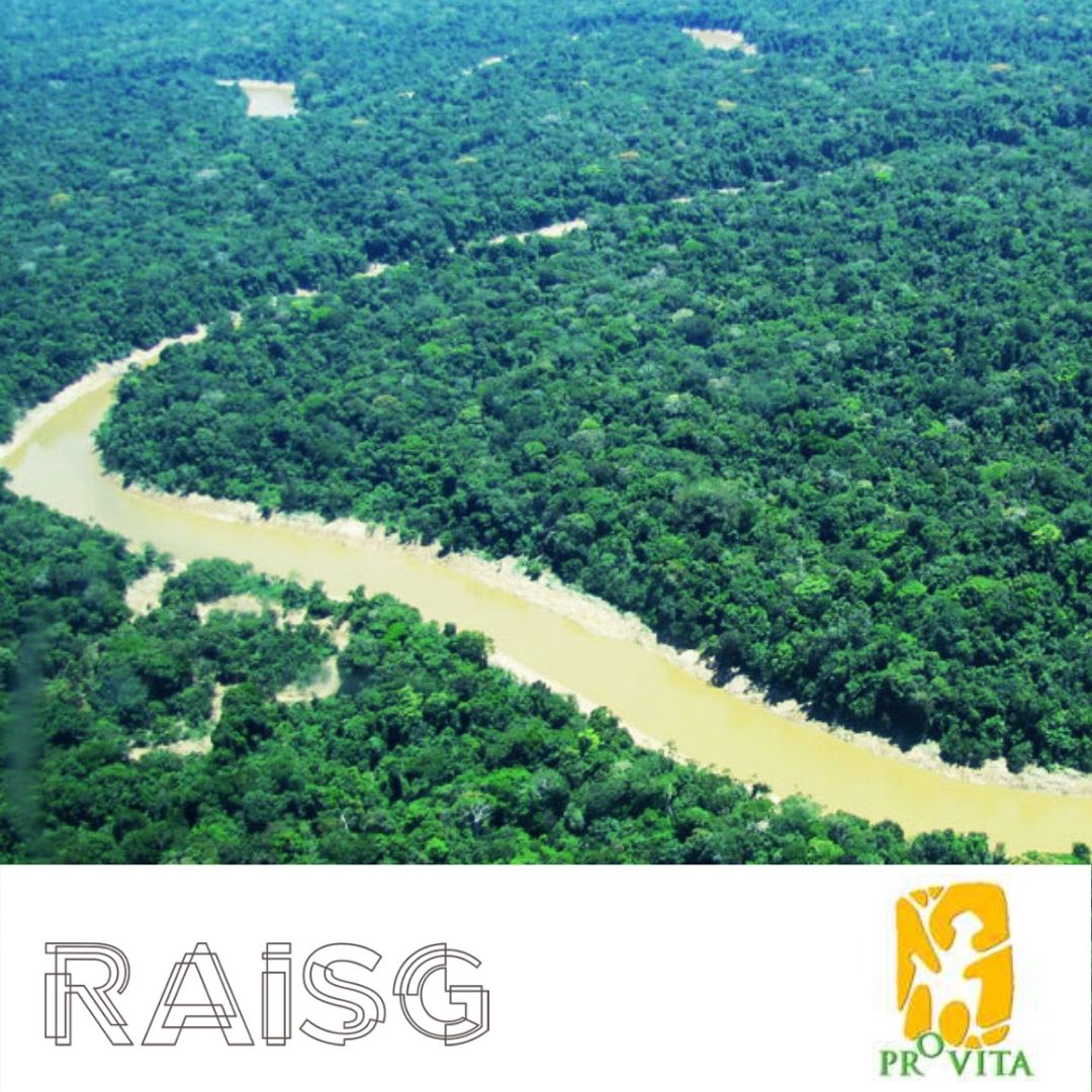 Territorios indígenas protegen más del 58% de las reservas de carbono de la Amazonia