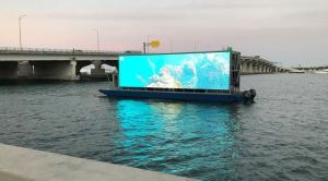 Una webcam destapó los secretos de los corales urbanos de Miami