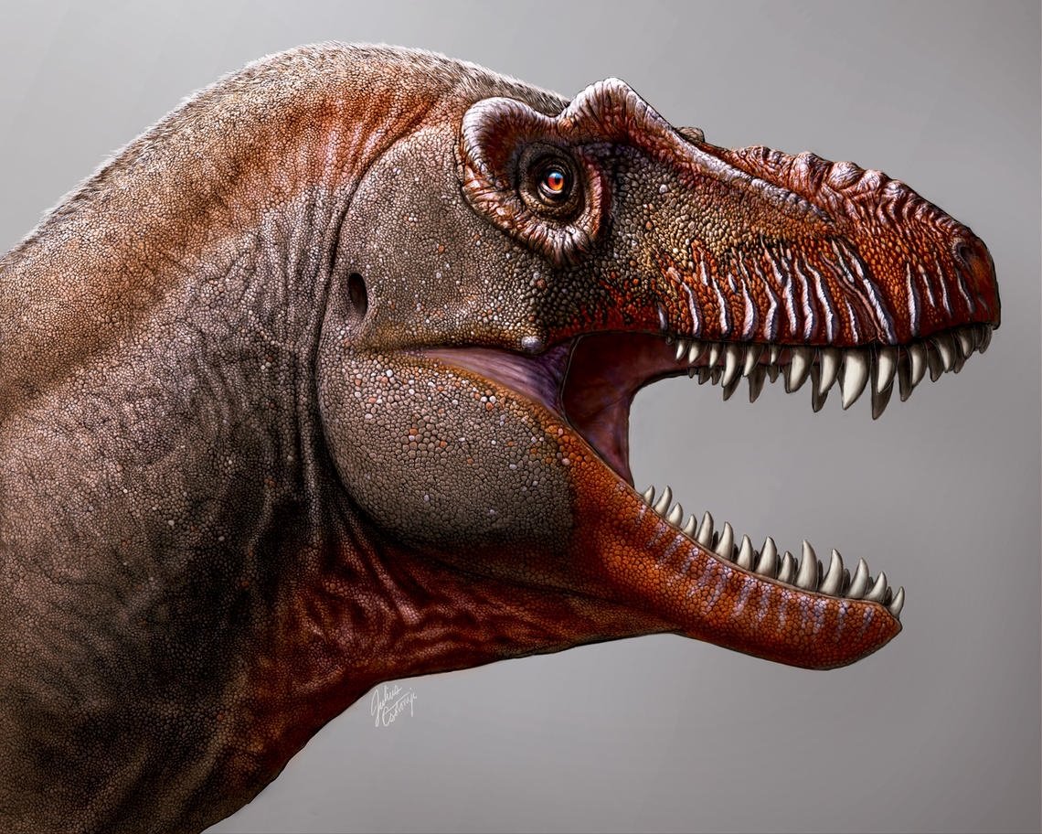 Hallaron fósiles de un primo lejano del Tiranosaurio Rex en Canadá