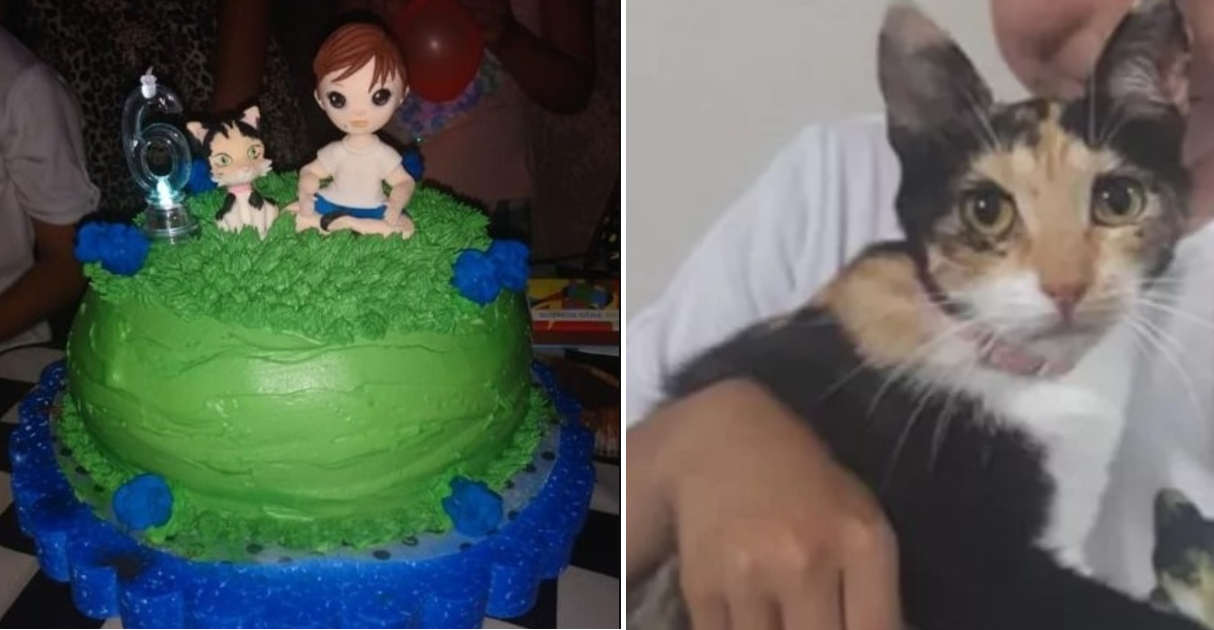 ¡Hermoso! Este niño hizo una fiesta de cumpleaños con la temática de su gatita rescatada (VIDEO)