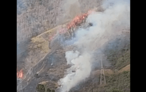 Se registró fuerte incendio en El Ávila a la altura de Cotiza este #23Feb (Fotos y Videos)