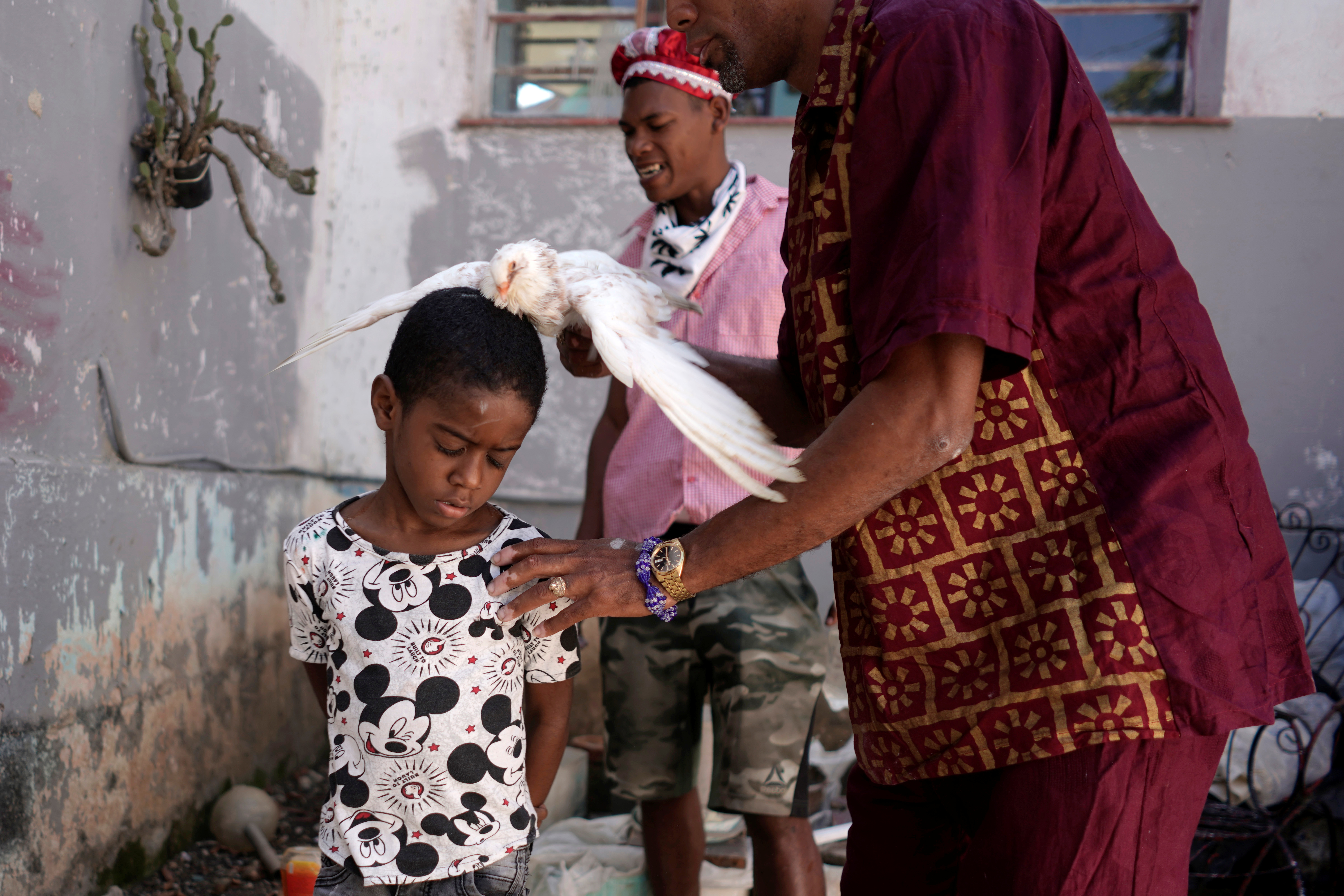 Con sacrificios de palomas y ritos africanos, la santería de Cuba busca protección ante coronavirus