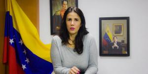 Embajadora Ponte: Agradecemos este inmenso gesto de solidaridad de Colombia con los venezolanos