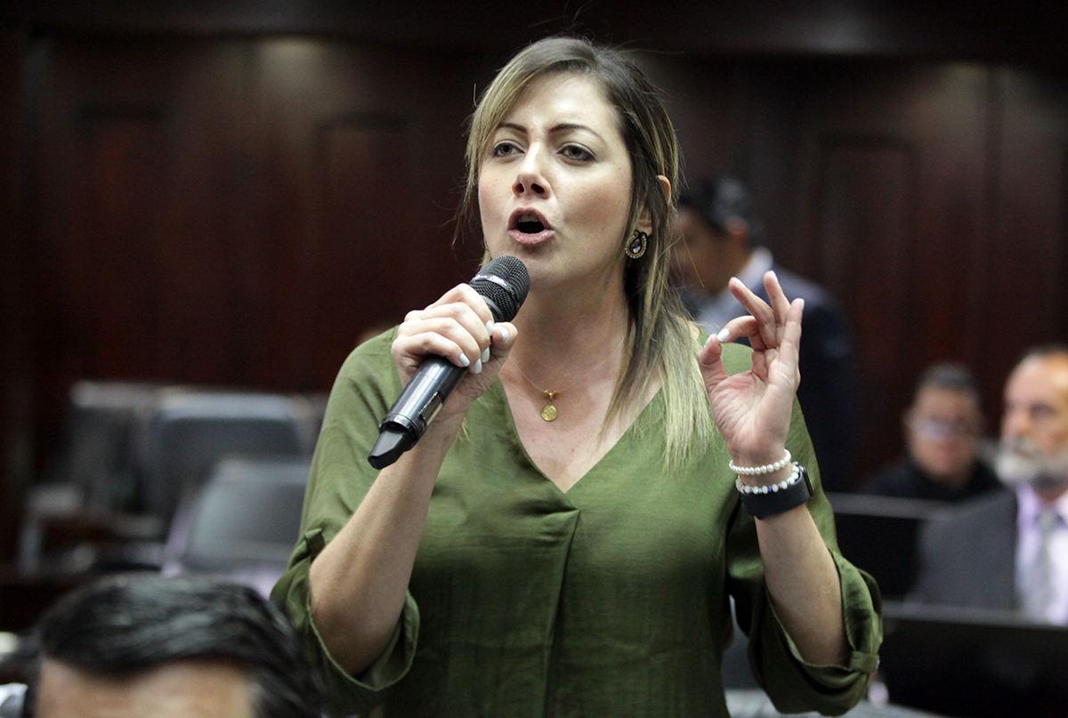 Diputada Jaramillo tildó de “bofetada a la AN” a la nueva directiva ilegítima del CNE