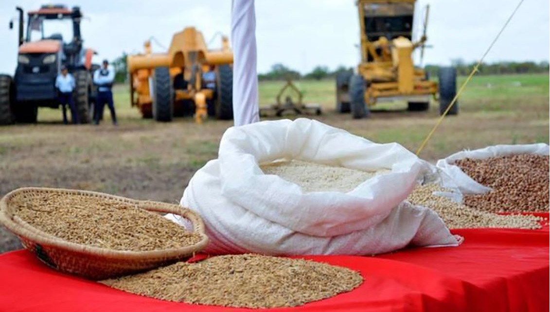 Agrónomos estiman que veremos consecuencias de la improductividad de la tierra en el primer trimestre de 2021