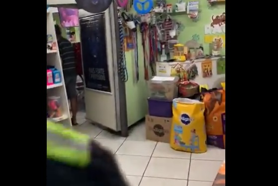 EN VIDEO: Desmantelan un bar camuflado en una tienda de mascotas en Brasil