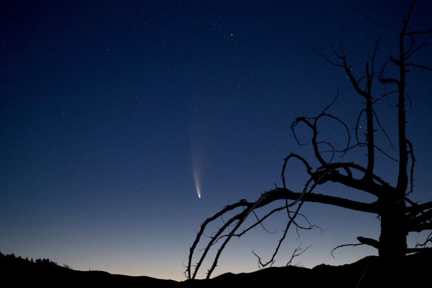 Entérate cómo ver mejor el cometa Neowise antes de que se desvanezca en el espacio
