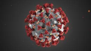 El número de muertos por coronavirus en Florida superó los 10 mil