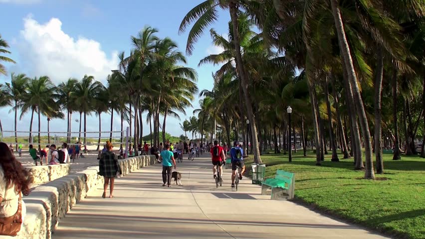 Clima de Miami: fin de semana caluroso, brumoso y húmedo