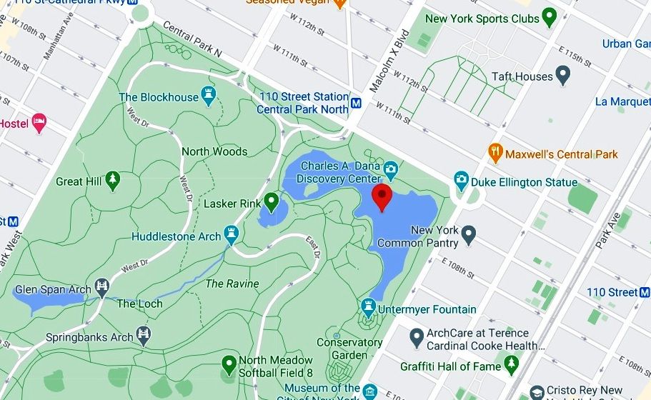 Encuentran a un hombre muerto en un lago de Central Park
