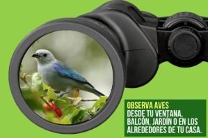 Audubon de Venezuela celebra su aniversario promoviendo la avifauna autóctona