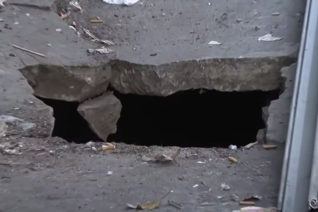 Pesadilla en Nueva York: Cayó en un nido de ratas enormes cuando caminaba por una calle del Bronx