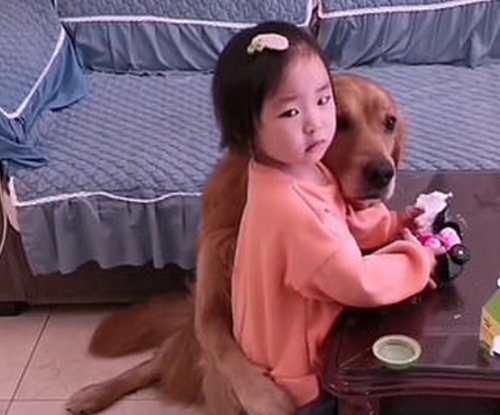 El VIDEO de la fiel mascota que defendió a una niña de la furia de su madre por una travesura