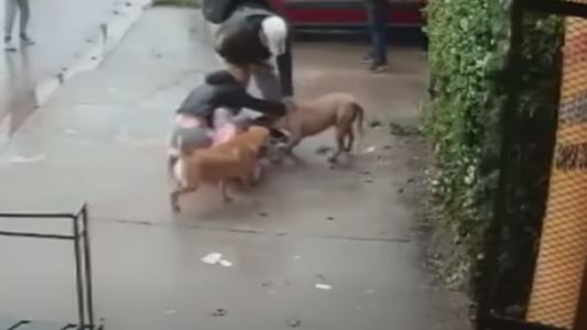 El terrorífico momento en que una madre se enfrenta al pitbull que atacaba a su hija en plena calle