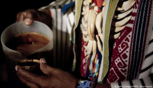 En Venezuela también sirven el té indígena que tendría el secreto de la regeneración neuronal
