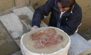 Una tumba de 31 mil años develó el entierro de gemelos más antiguo (FOTOS)