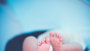 Arizona advirtió que los bebés de tres meses muestran los primeros signos de racismo
