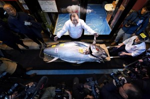 Venden atún por 200.000 dólares en subasta de Año Nuevo en mercado de Tokio (FOTOS)