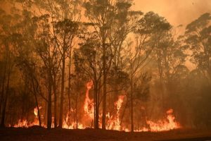 Incendios forestales fuera de control amenazan ciudad australiana de Perth
