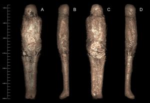 Arqueólogos descubren un nuevo tipo de momia que nunca han conocido (FOTOS)