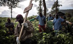 Preocupante las muertes de 15 personas mayores en el oeste de Congo por una “enfermedad desconocida”