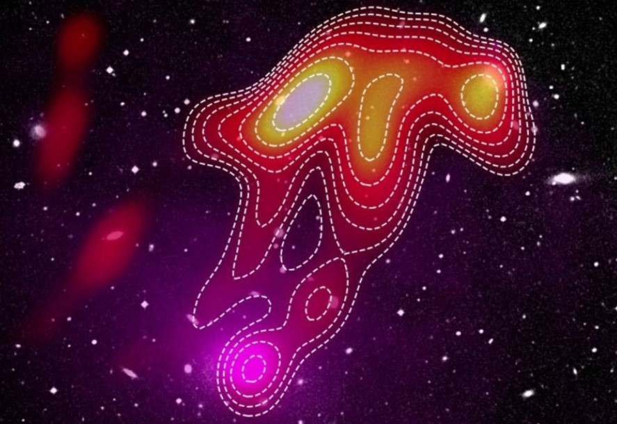Astrónomos detectaron una “medusa espacial” en un cúmulo de galaxias