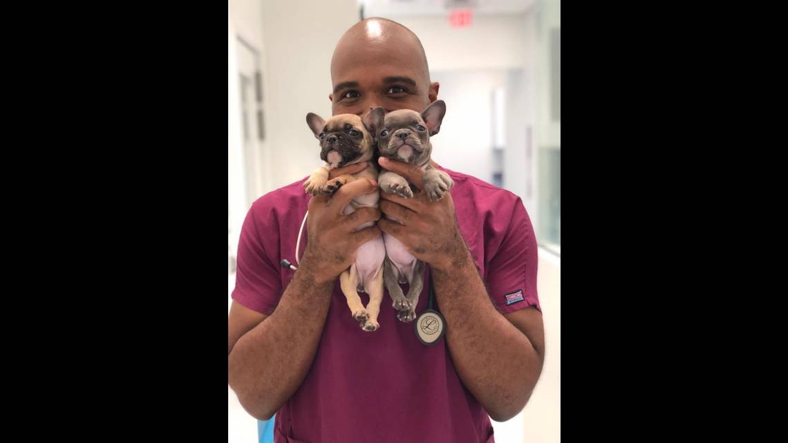 Destacado veterinario en Florida se filmó a sí mismo abusando sexualmente de perros