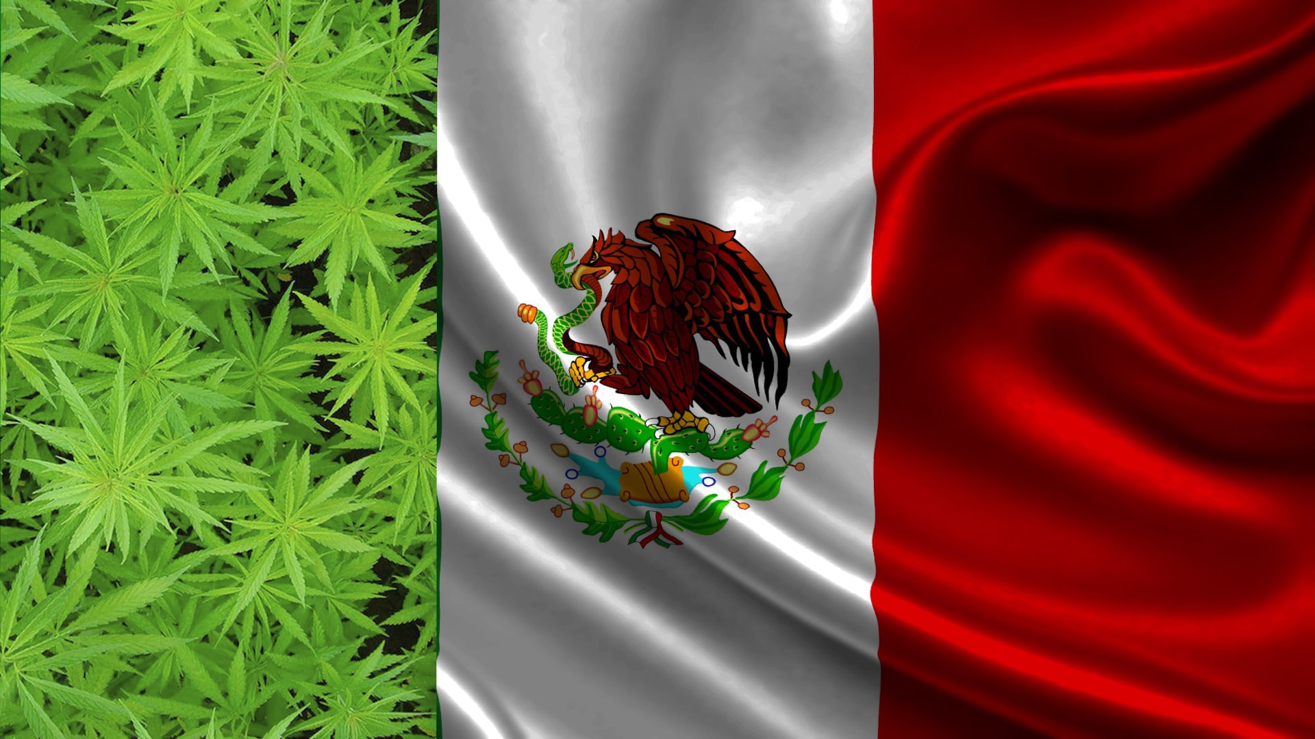 México se perfila como líder mundial del mercado de la marihuana