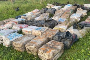 Incautaron en Colombia más de 1,3 toneladas de cocaína (Fotos)