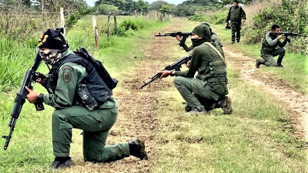 Capturaron a presuntos miembros del Cártel de Sinaloa durante operativos en Apure, según Ceballos