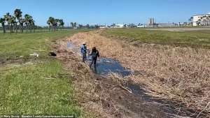 “Salgan ahora”: Emergencia en Florida ante el colapso de una represa con agua contaminada