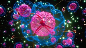 El coronavirus puede infectar las neuronas, según estudio