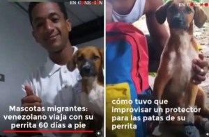 Emigrante venezolano que caminó 60 días junto a su perra para llegar a Ecuador