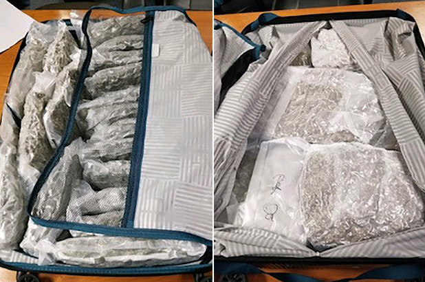 Incautaron 174 libras de marihuana metidas en maletas en aeropuerto de Atlanta