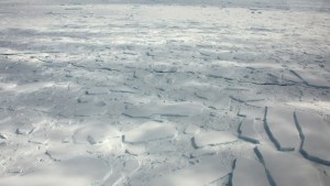 Continente antártico batió su propio récord de calor al alcanzar una temperatura de 18,3 °C