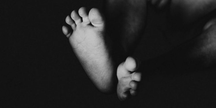 Mutilada y semienterrada: Encontraron el cadáver de una bebé recién nacida en el patio de una casa en Argentina